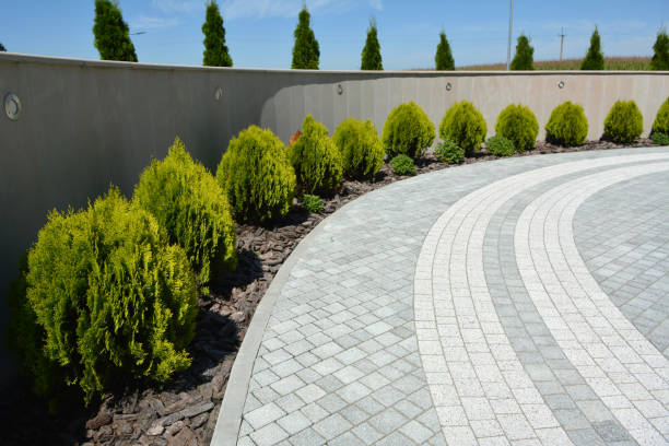 Best Professional Driveway Pavers  in Albany, MO